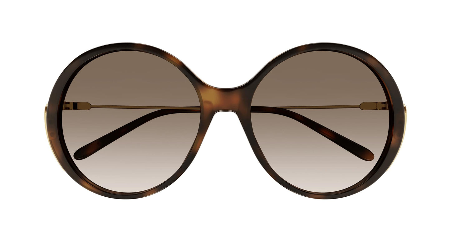 Chloé CH0171S 002 58