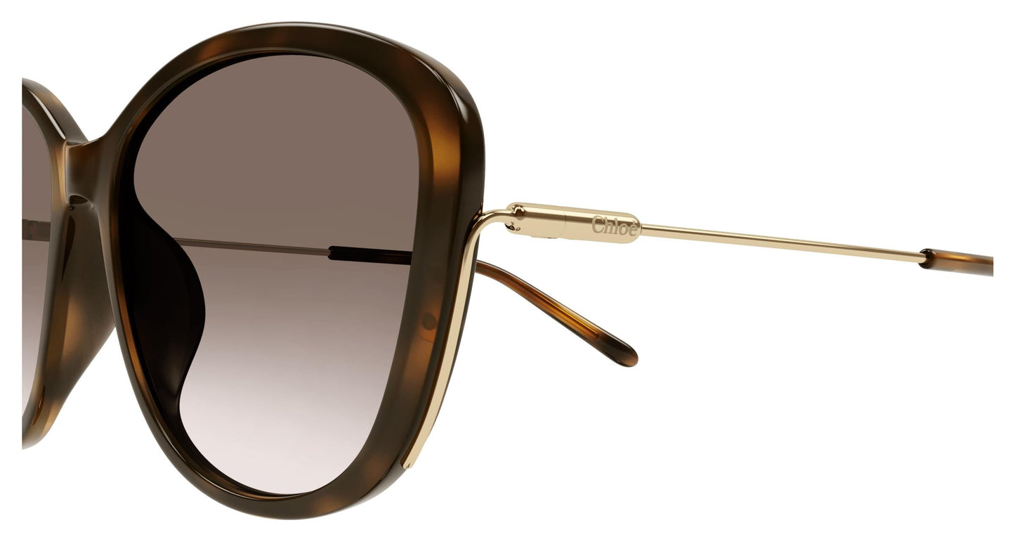 Chloé CH0175SK 002 59