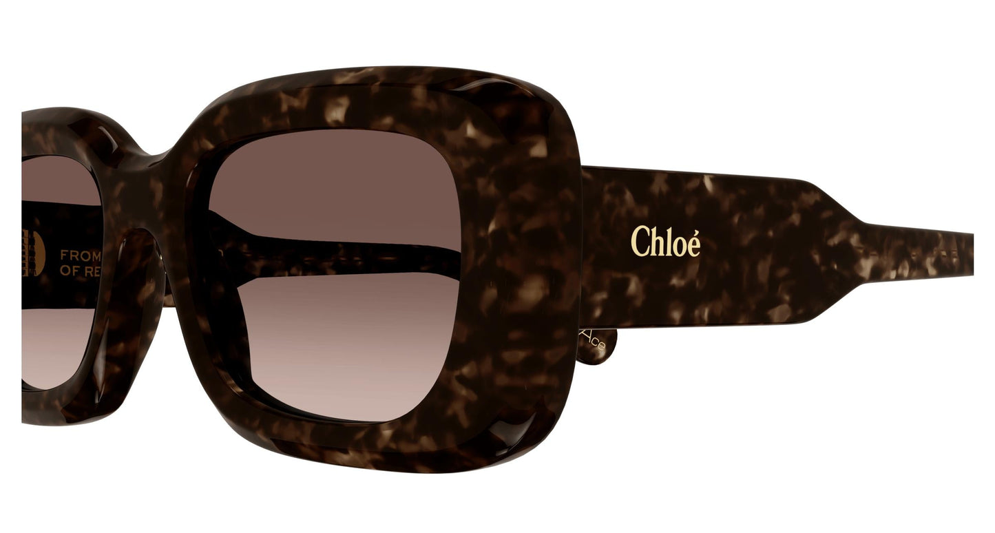 Chloé CH0188S 002 51