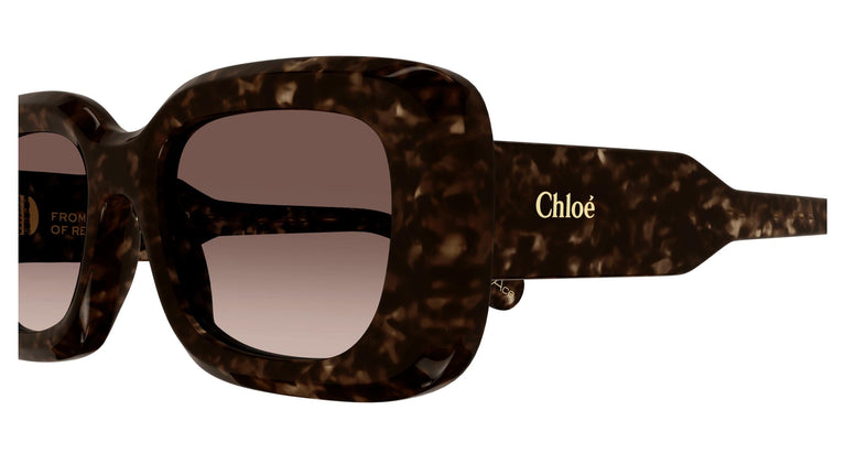 Chloé CH0188S 002 51