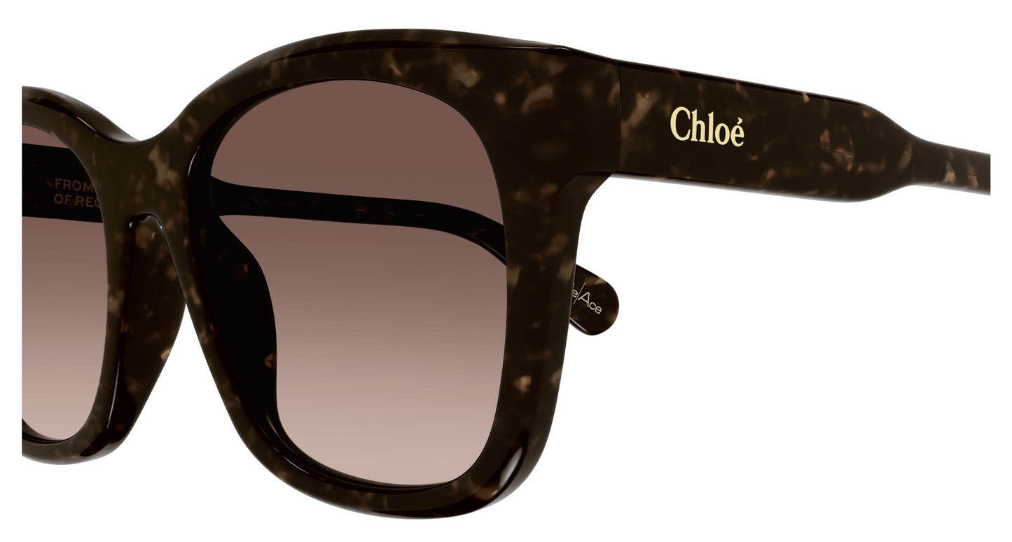 Chloé CH0194SK 002 55