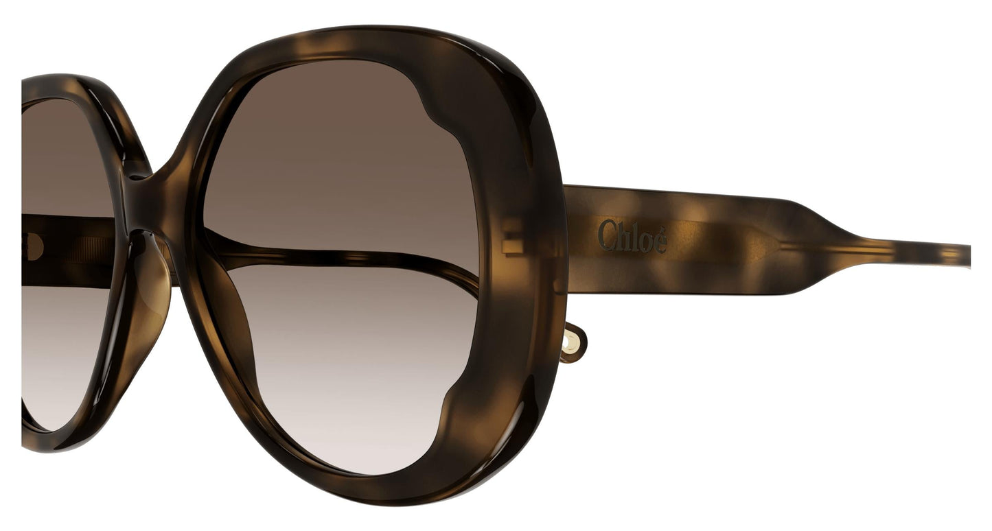 Chloé CH0195SK 002 56