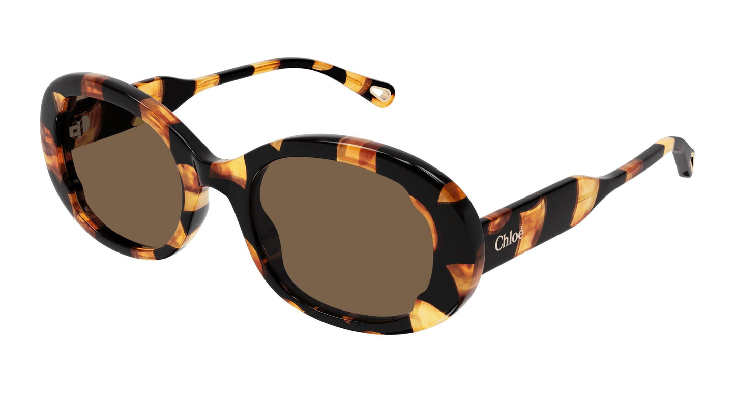 Chloé CH0197S 003 53