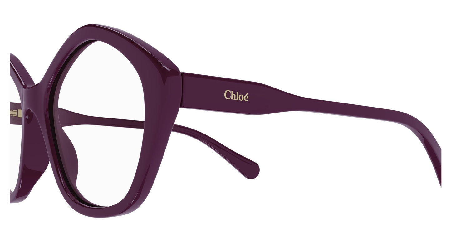 Chloé CC0011O 004 49