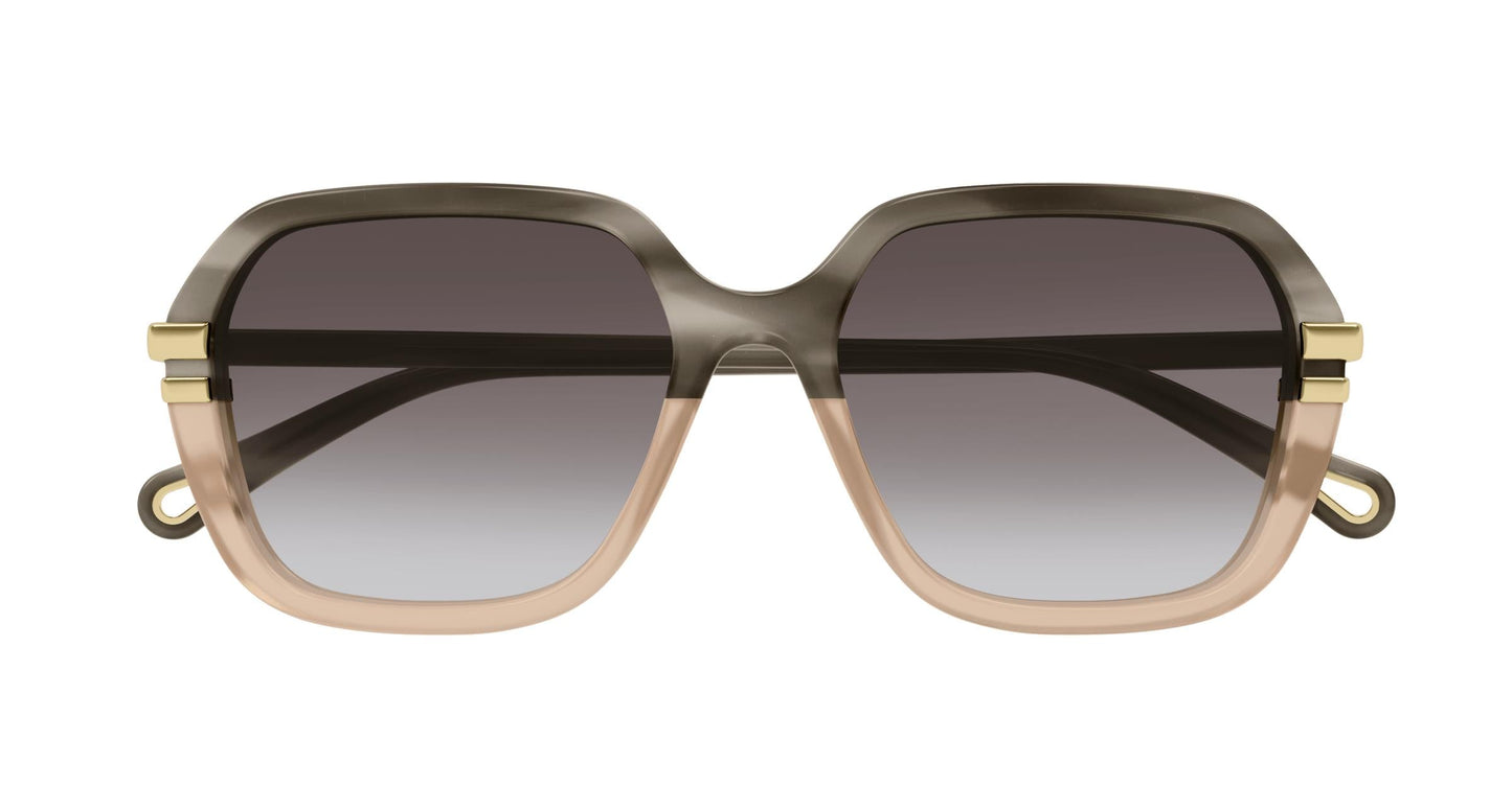 Chloé CH0204S 004 57
