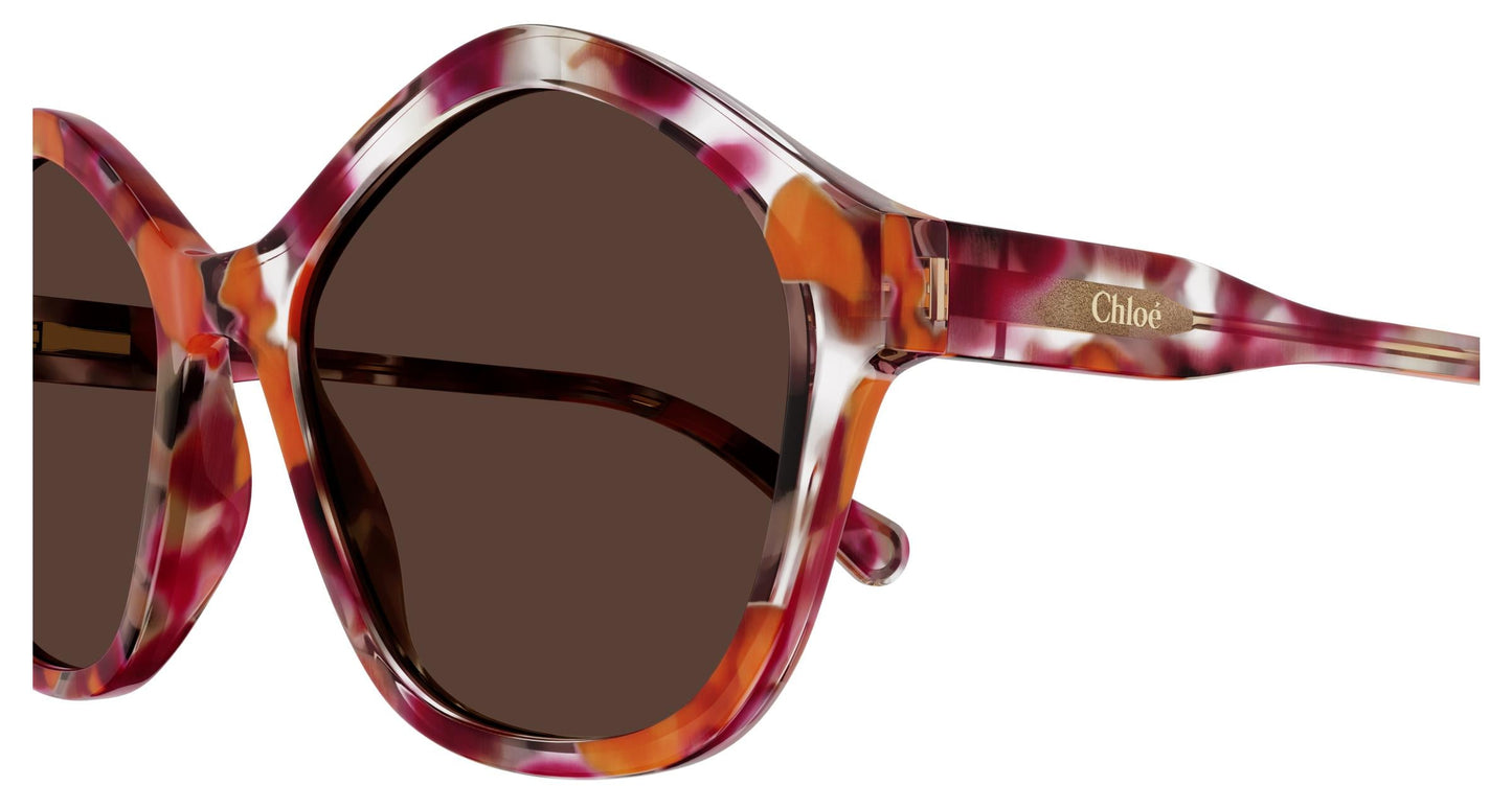 Chloé CC0010S 005 49