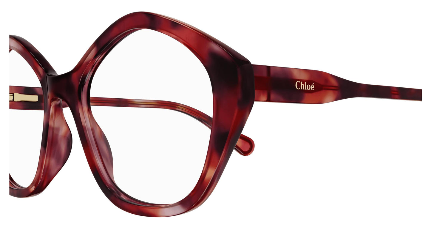 Chloé CC0011O 005 49