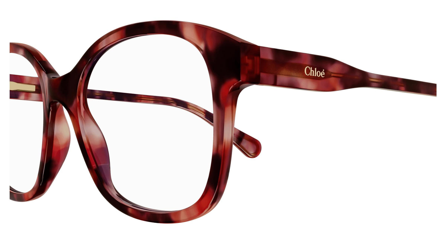 Chloé CC0013O 005 48