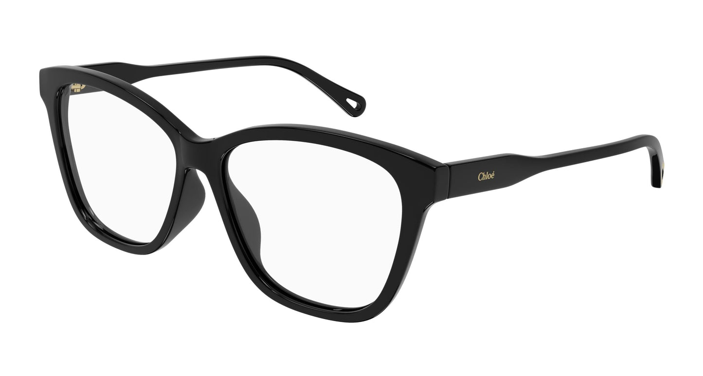 Chloé CH0084O 005 54