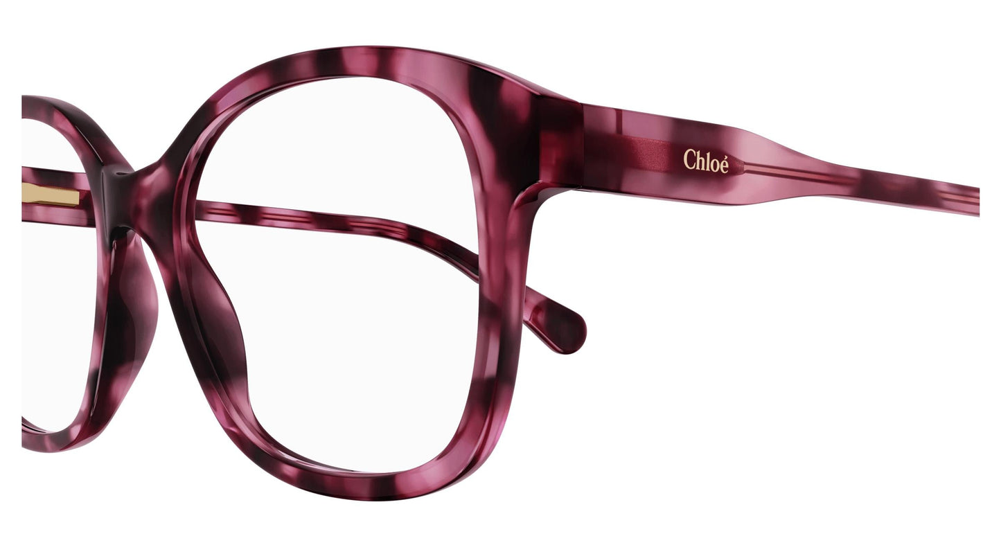 Chloé CC0013O 006 48