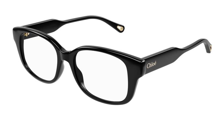 Chloé CH0198O 006 53