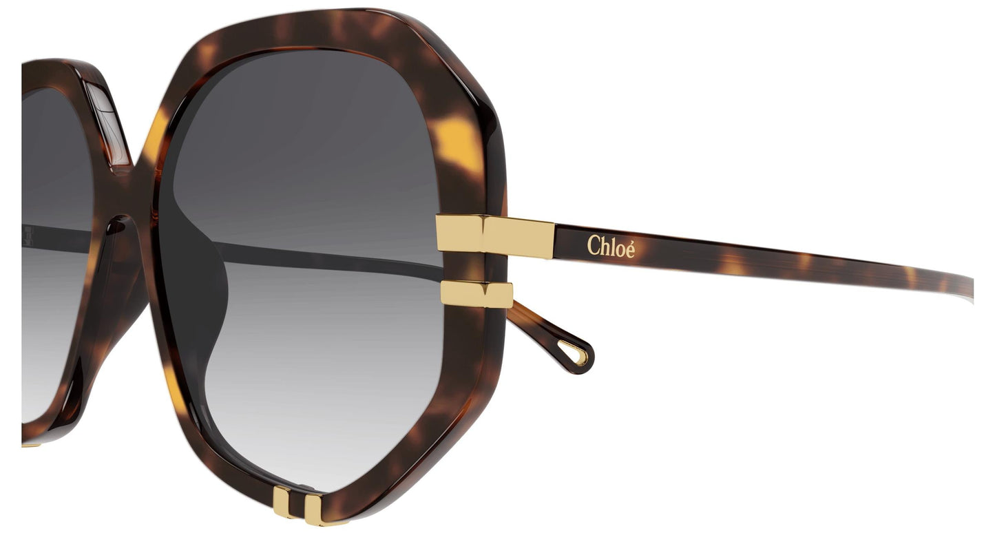 Chloé CH0105S 007 55