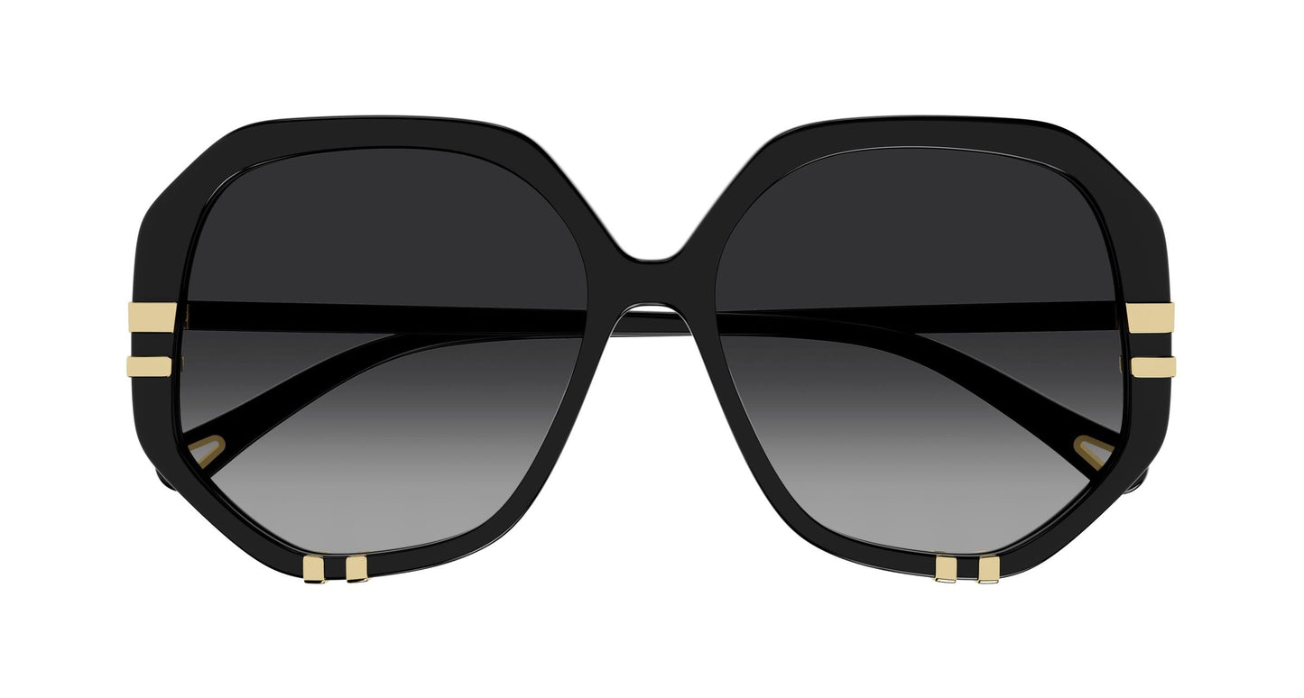 Chloé CH0105S 008 55