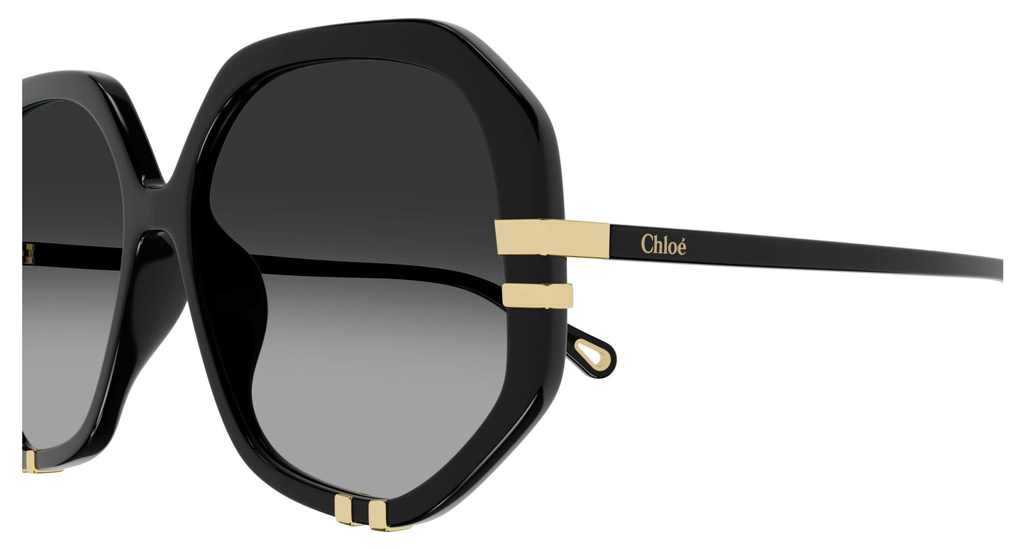 Chloé CH0105S 008 55