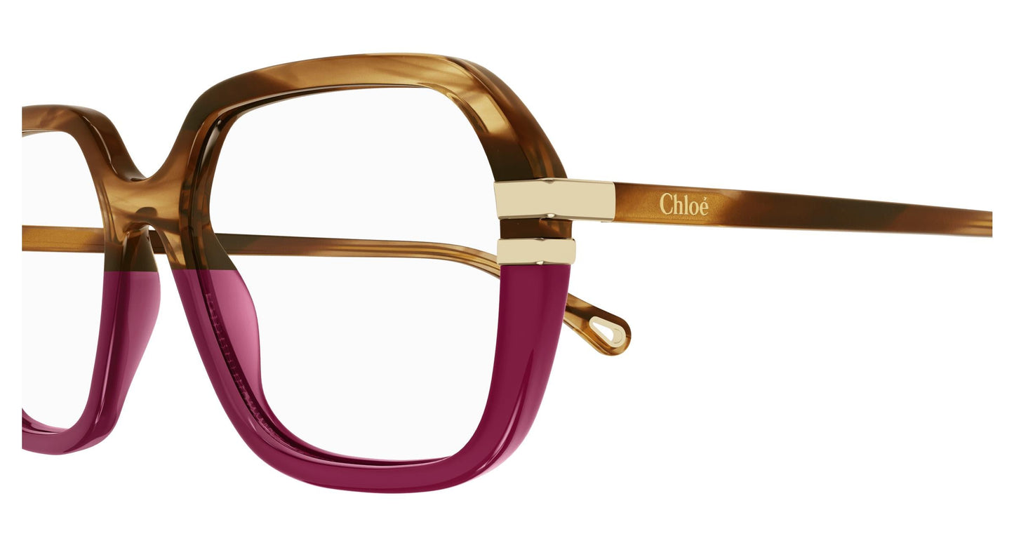 Chloé CH0205O 008 55