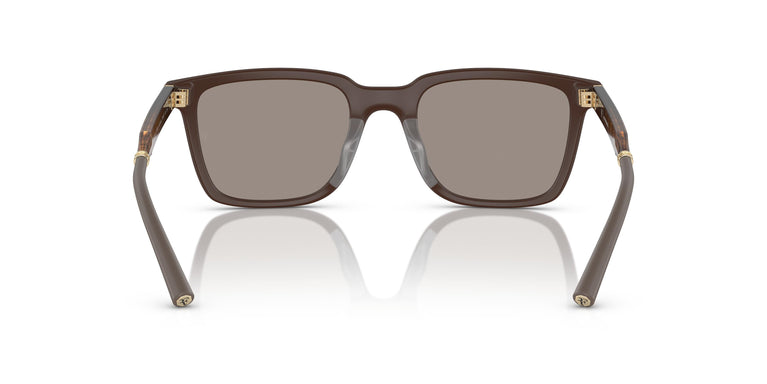 Oliver Peoples OV5553SU MR. FEDERER 70055A 52