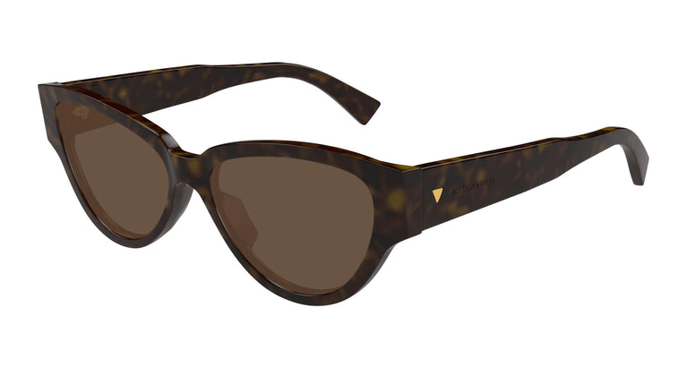 Bottega Veneta BV1319S 002 56