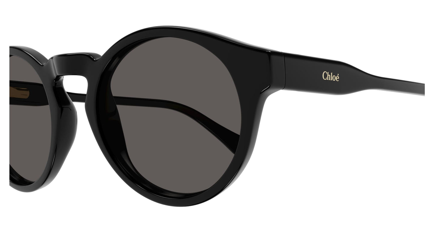 Chloé CC0014S 005 46