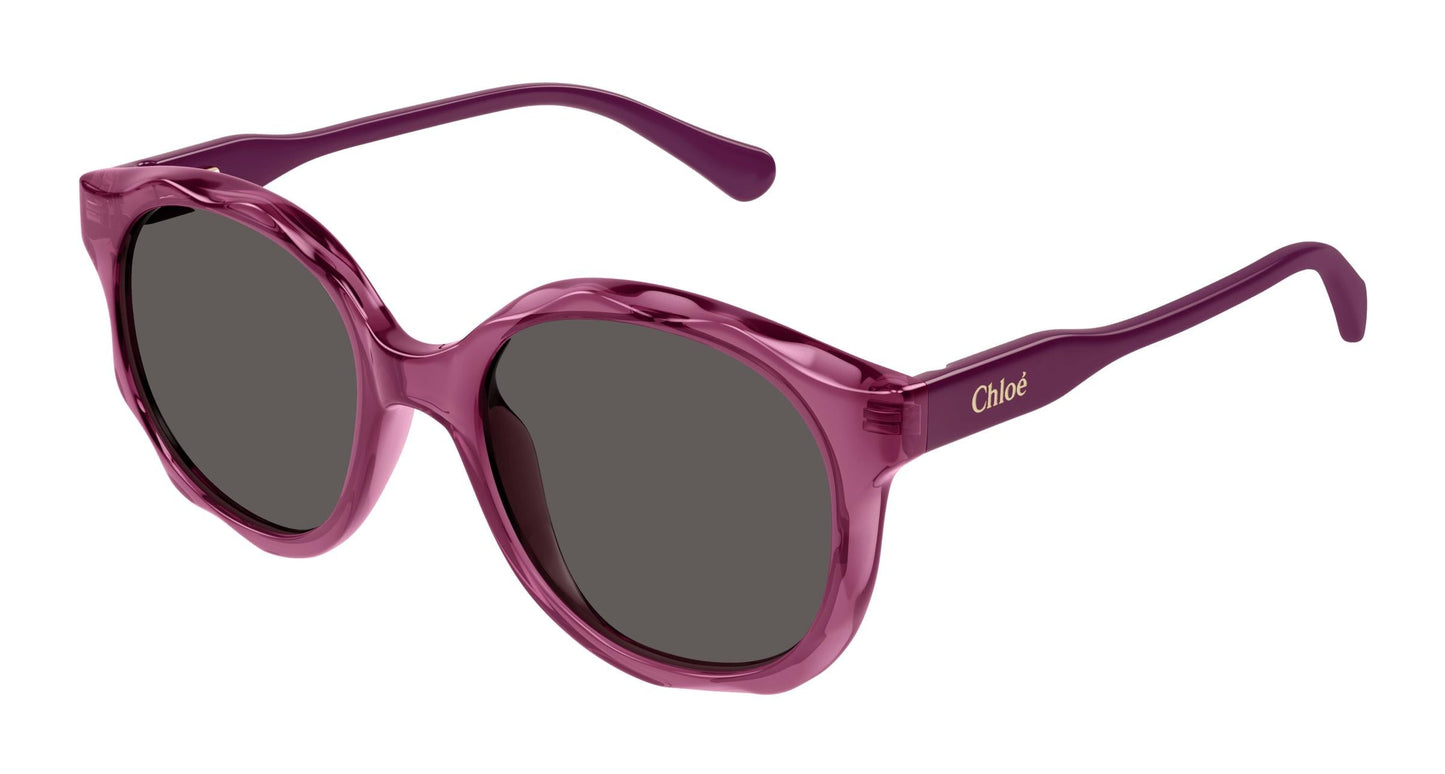 Chloé CC0019S 003 47