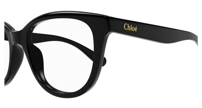 Chloé CC0021O 001 47