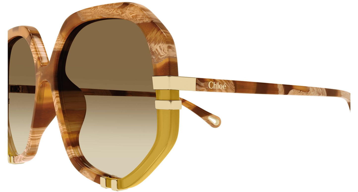 Chloé CH0105S 011 55