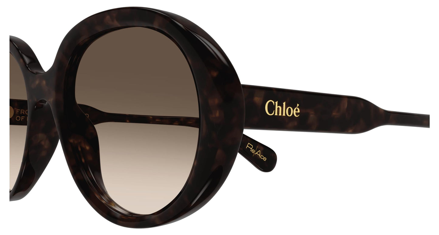 Chloé CH0221S 002 55