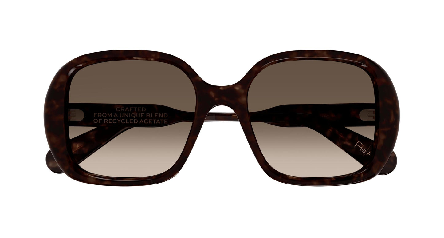 Chloé CH0222S 002 55
