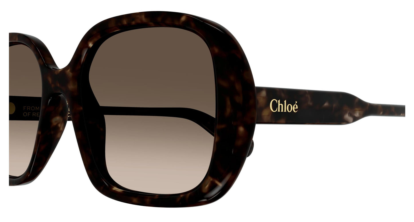 Chloé CH0222S 002 55