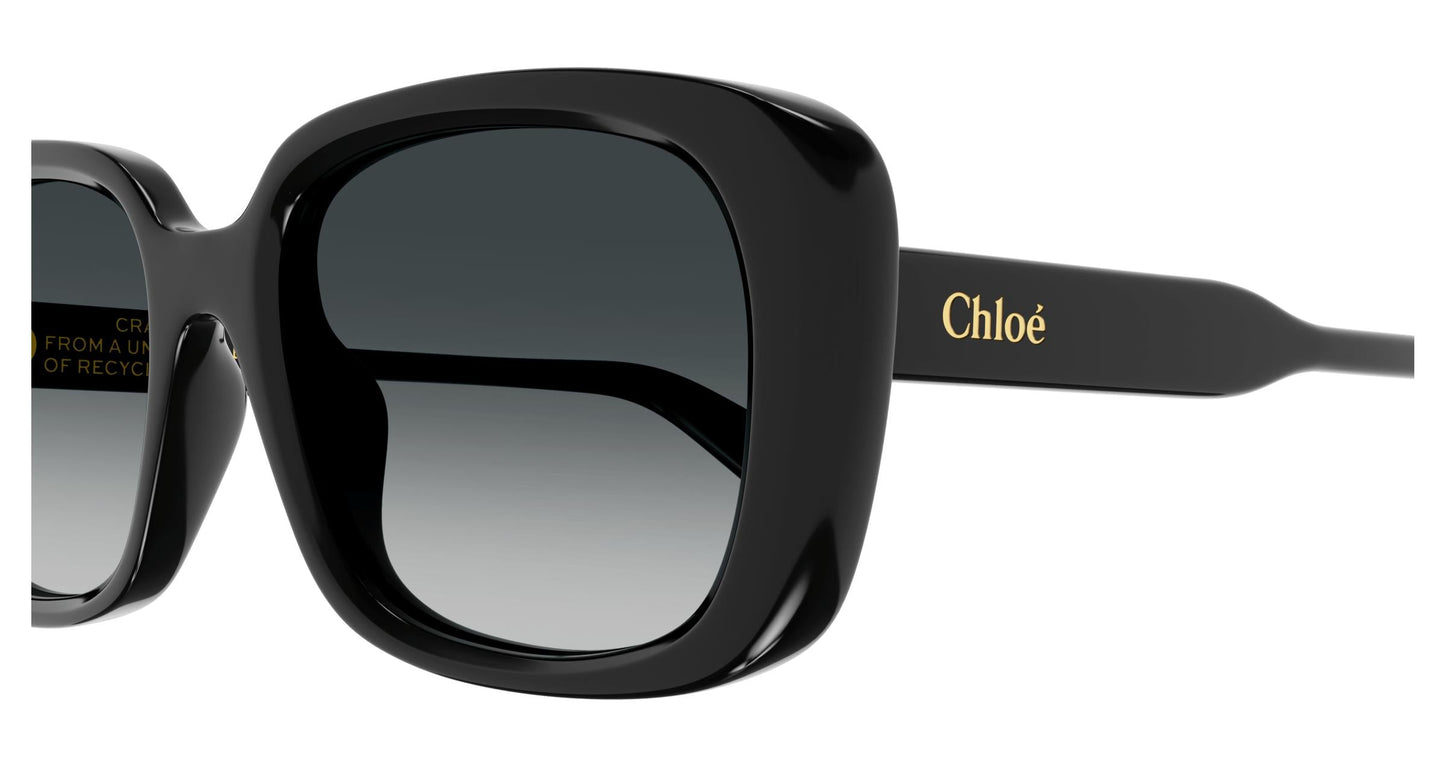 Chloé CH0225SK 001 55