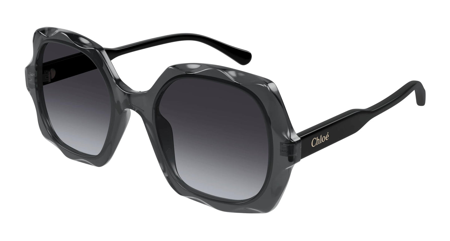 Chloé CH0226S 001 53