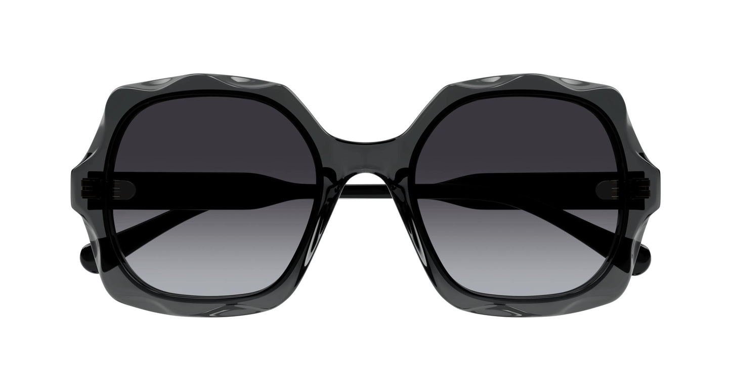 Chloé CH0226S 001 53
