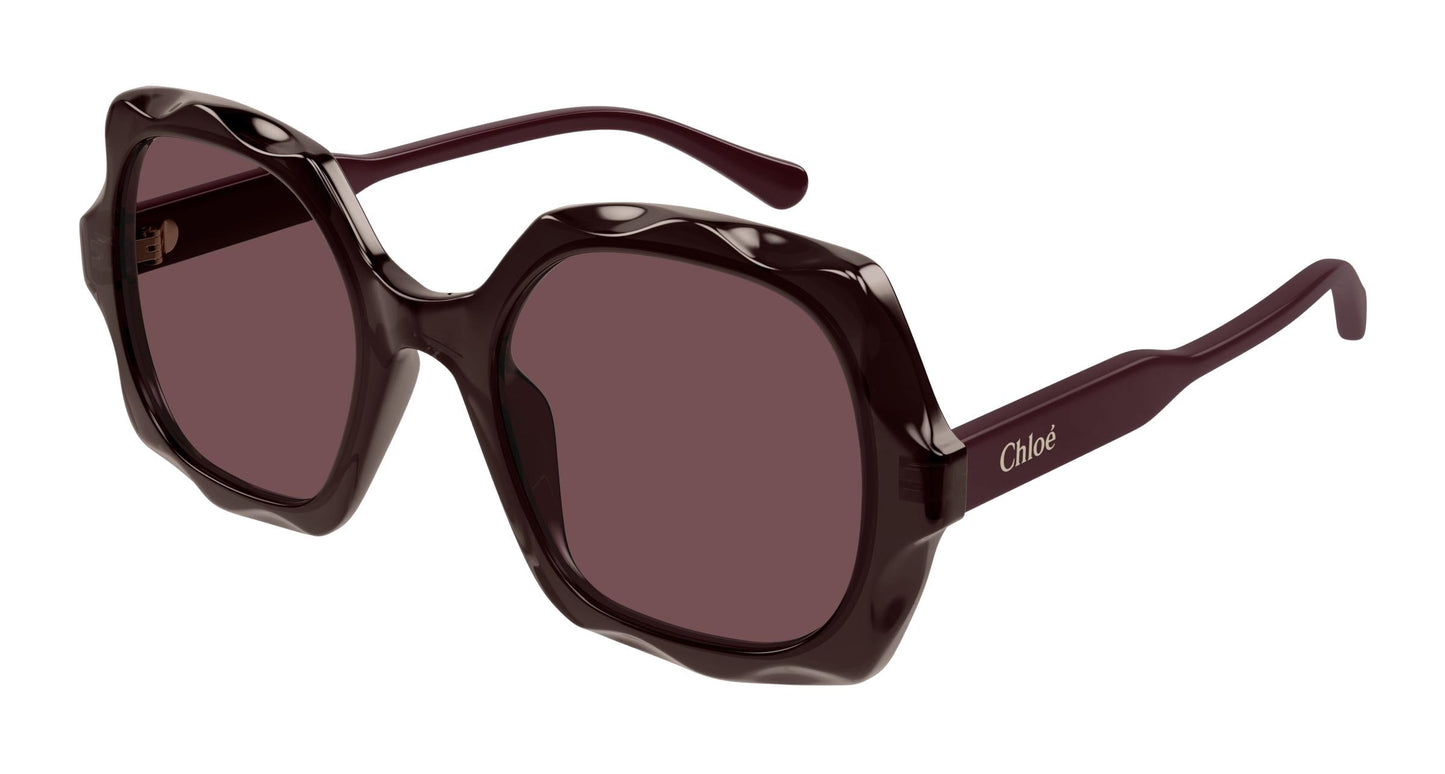 Chloé CH0226S 002 53