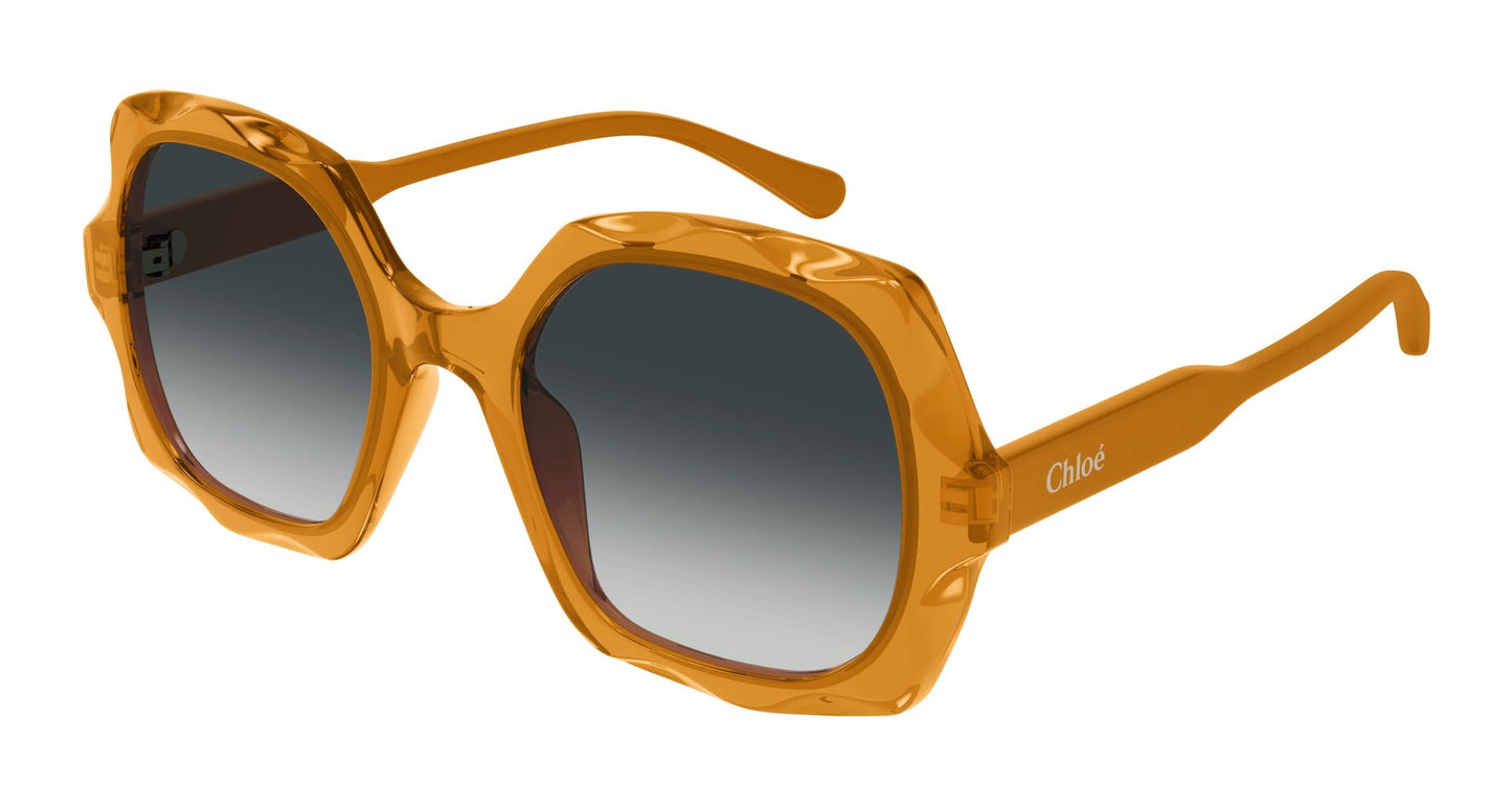 Chloé CH0226S 004 53