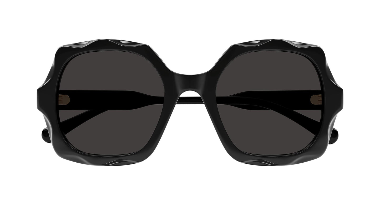 Chloé CH0226S 005 53
