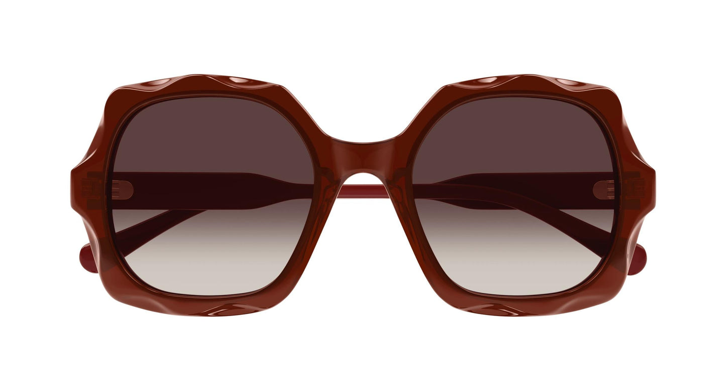 Chloé CH0226S 006 53