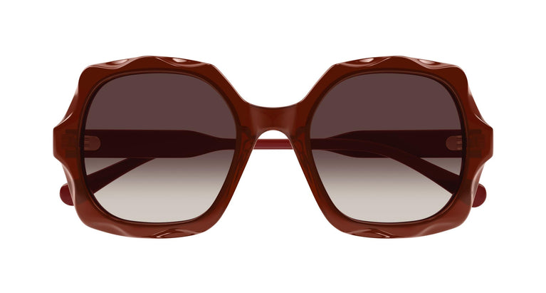 Chloé CH0226S 006 53