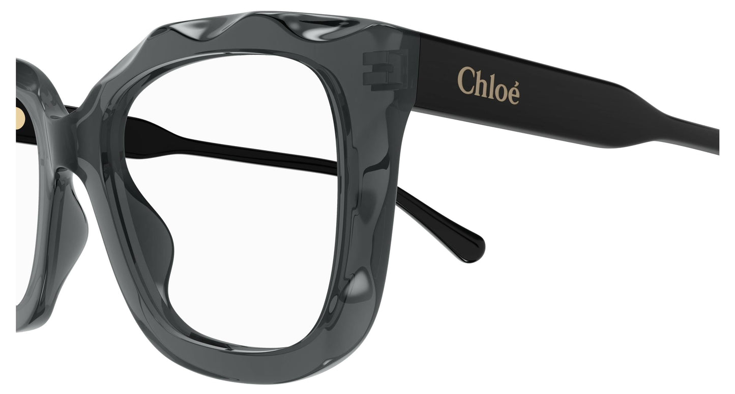 Chloé CH0229O 001 52