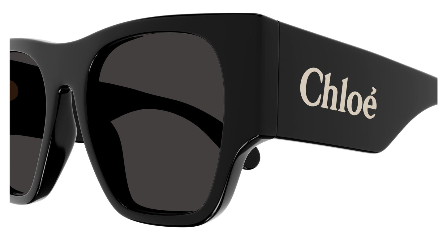 Chloé CH0233S 001 53