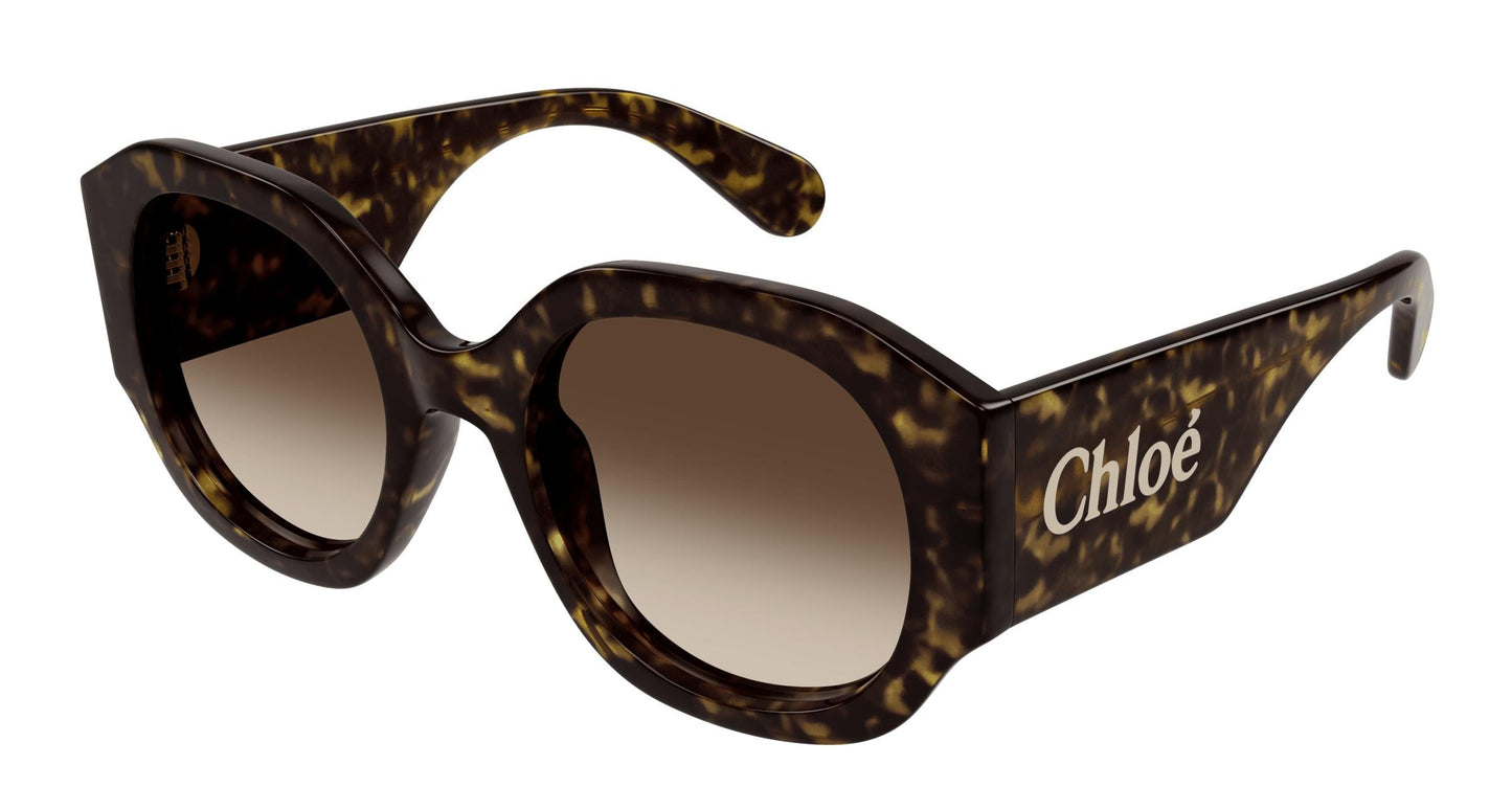 Chloé CH0234SK 002 55