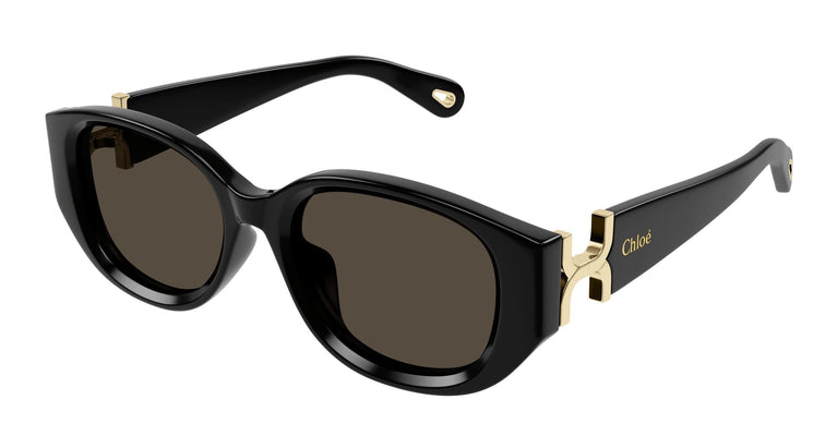 Chloé CH0237SK 001 54