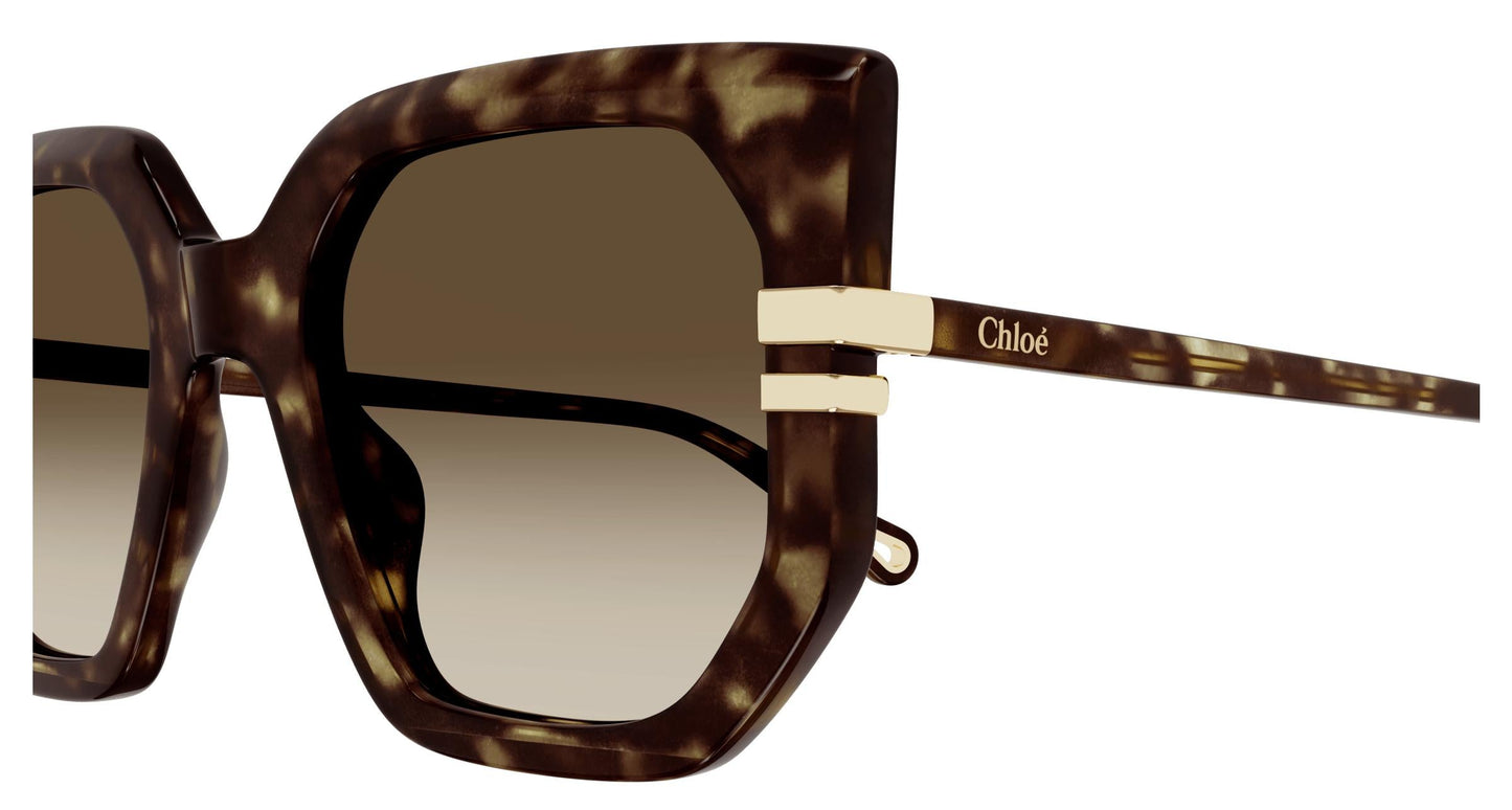 Chloé CH0240S 002 53