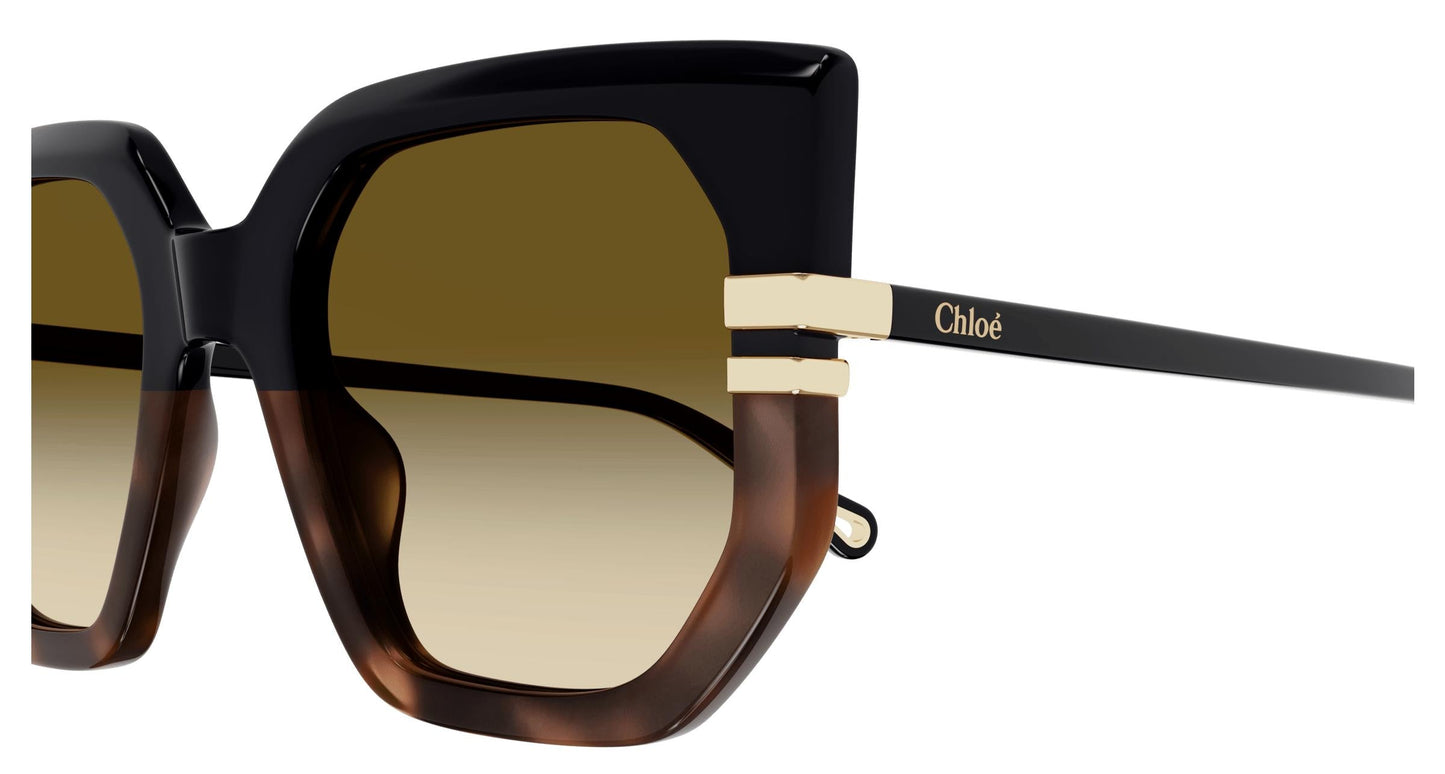 Chloé CH0240S 003 53