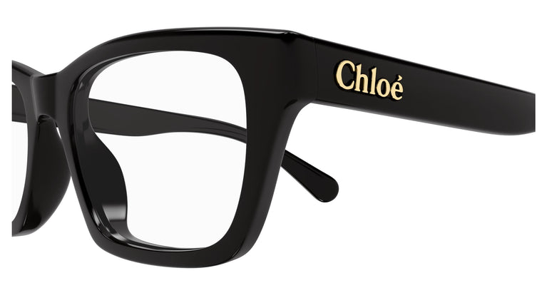 Chloé CH0242O 001 51