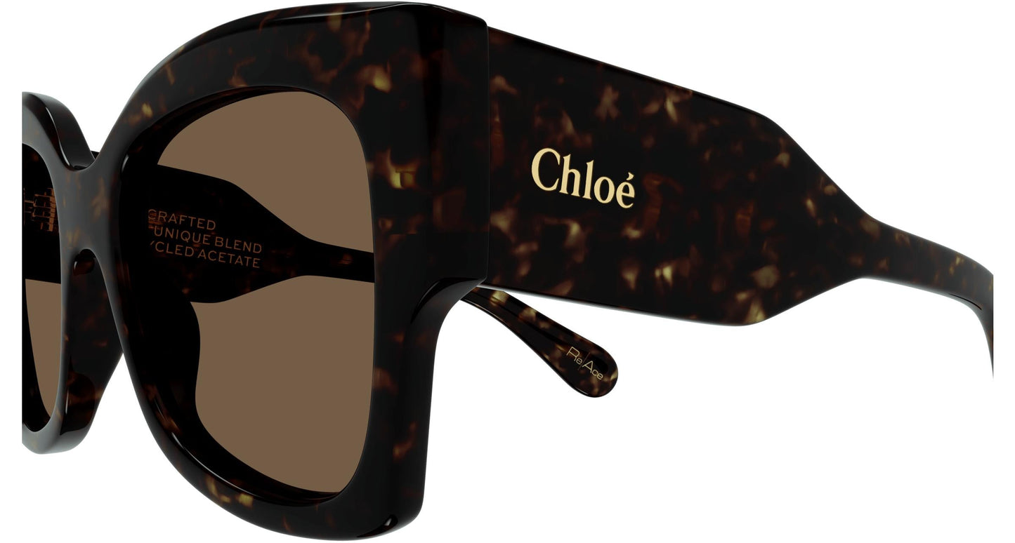 Chloé CH0252S 002 55