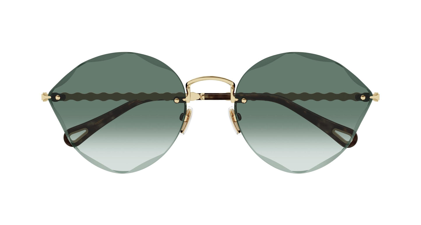 Chloé CH0253S 003 58