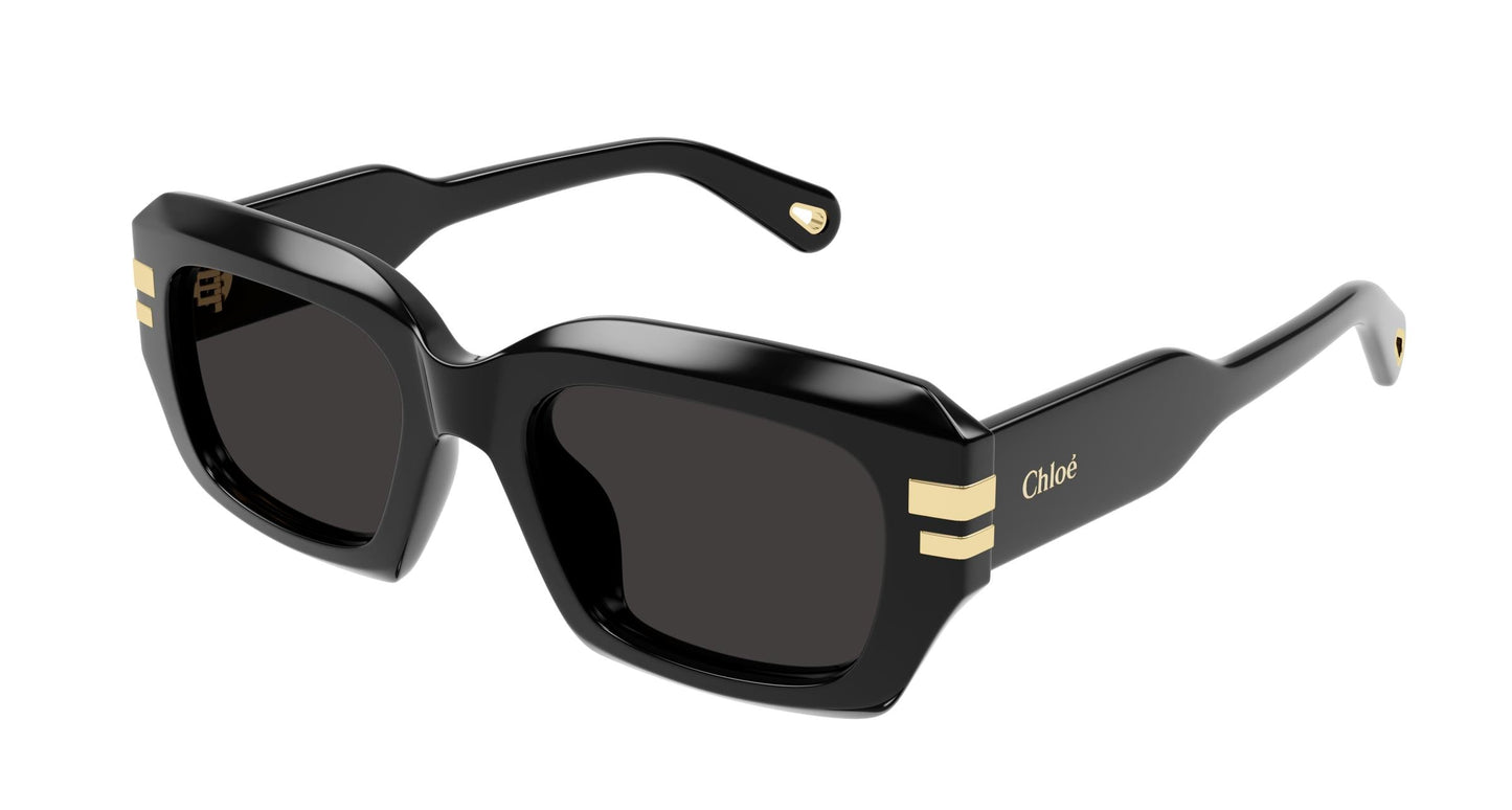 Chloé CH0256S 001 53