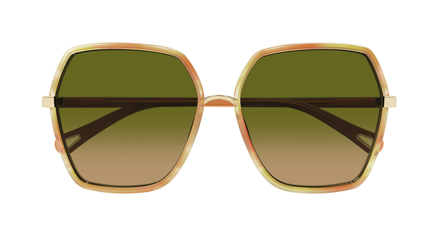 Chloé CH0262S 004 58