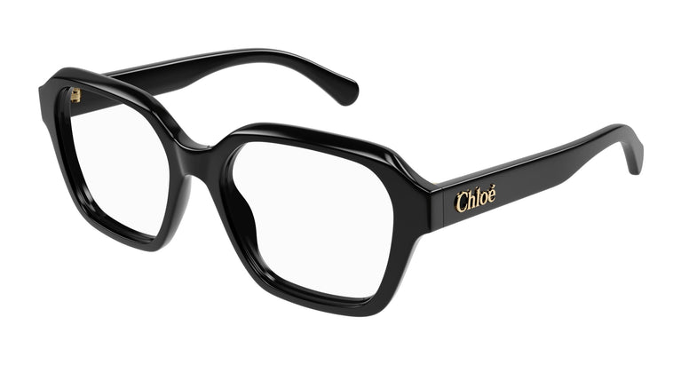Chloé CH0272O 001 53
