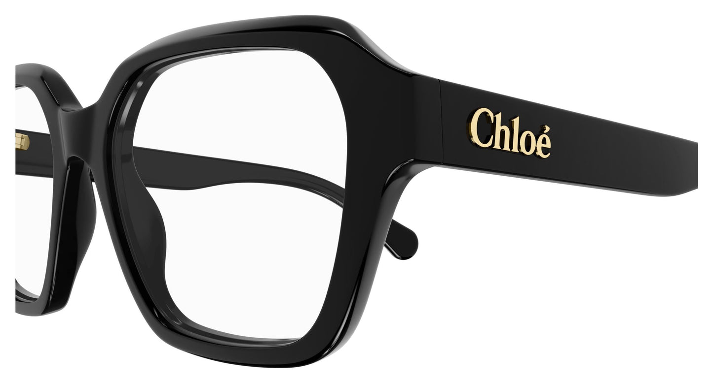 Chloé CH0272O 001 53