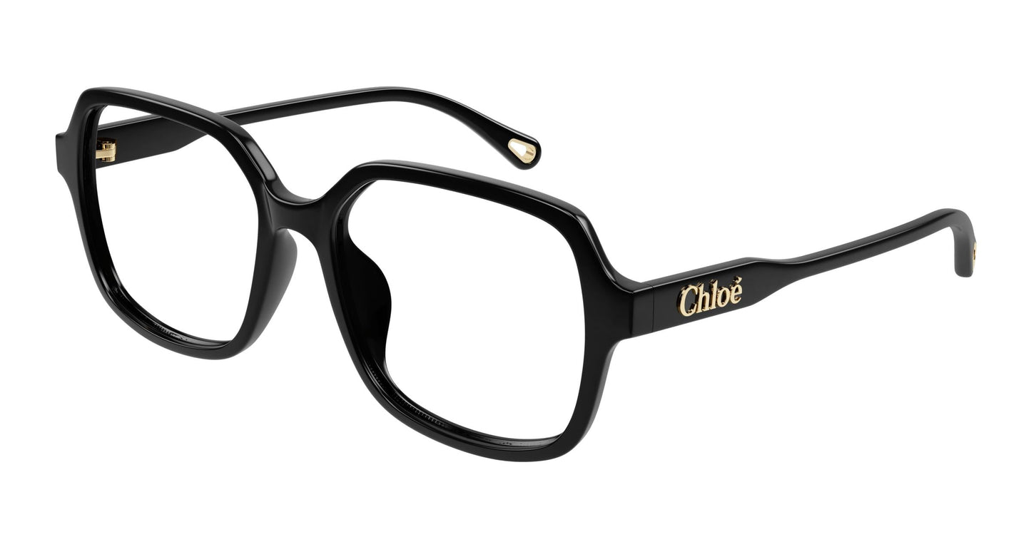 Chloé CH0277OA 001 53
